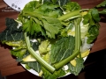 Ernährung 6
