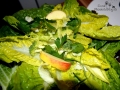 Ernährung 3