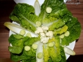 Ernährung 1